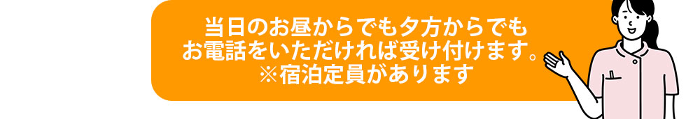 当日のお昼からでも夕方からでもお電話をいただければ受け付けます。※宿泊定員があります