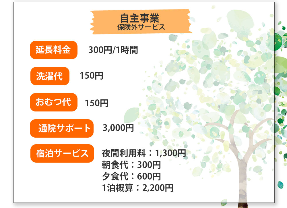 自主事業 保険外サービス 延長料金 300円/1時間 洗濯代150円 おむつ代 150円 通院サポート 3,000円 宿泊サービス 夜間利用料：1,300円 朝食代：300円 夕食代：600円 1泊概算：2,200円